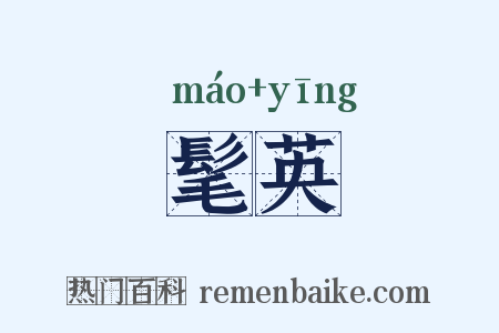 髦英是什么意思的图片